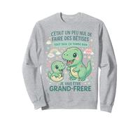 Je Vais Être Grand Frère Humour Dino Bébé Annonce Grossesse Sweatshirt
