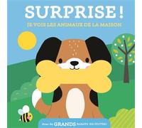 Je vois les animaux de la maison / surprise - Collectif - Tam-Tam - cartonné - Album jeunesse