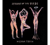 Jealous Of The Birds – Wisdom Teeth – Vinyle LP Neuf – Atlantic Bicycle