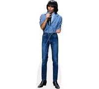 Jean-Jacques Goldman (Singing) Silhouette en Carton Taille Mini