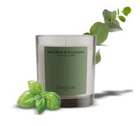Jean & Len Scented Candle Basil Mint & Eucalyptus, à base de beurre de karité, durée env. 40 h, design minimaliste, parfum rafraîchissant, végan, 195 g