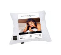 Jean Louis Scherrer Oreiller 60 X 40 X 12 MEMOIRE DE Forme JLS6040