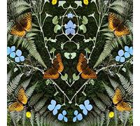 Jean-Michel Blais - aubades