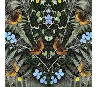 Jean-Michael Blais - Aubades