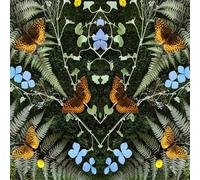 Jean-Michel Blais - Aubades [Vinyl] Canada - Import