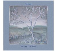 Jeanines - Don't Wait For A Sign [Compact Discs]