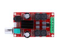 Jeanoko Carte Audio de Puissance D'amplificateur Numérique Compacte, Double Canal Sonore TPA3116D2 pour Système de Haut-parleurs de Voiture/maison