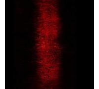 Jebasasam Paul - Rites [Import]