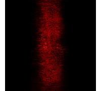 Jebasasam, Paul - Rites of Uncovering [Import]