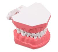 JECOMPRIS 1 Outil de Formation pour Enseignants Modèle de Cabinet Buccal Réaliste Démonstration des Techniques de Brossage Matériel Éducatif pour Formation Orale