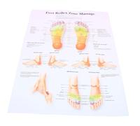 JECOMPRIS Affiche De Réflexologie Plantaire Art Mural Pour Décorer La Maison Bureau Représentation Anatomique Des Zones Réflexes Du Pied