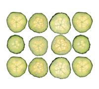 JECOMPRIS Concombre Séché Pressé 12 Pièces pour Loisirs Créatifs Accessoires de Photographie Décoration Naturelle Maison