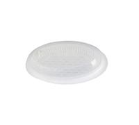 JECOMPRIS Cuiseur Vapeur Poisson Professionnel avec Couvercle Ventilé Plaque Vapeur Micro-ondes Rapide et Facile à Nettoyer Préserve Vitamines et pour Cuisson Saine Au Four Micro-ondes