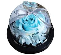 JECOMPRIS Fleurs Immortelles Verre avec Rose Artificielle Ornement Romantique pour Maison Bureau Cadeau pour Saint-Valentin