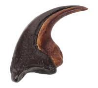 JECOMPRIS Griffe de Dinosaure Réaliste Objet de Recherche Scientifique en Résine pour Exposition de Collection et Salle de vec Structure Détaillée pour Enseignement