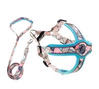 JECOMPRIS Harnais pour Chien Laisse Réfléchissante XS pour Petites et Moyennes Races, Harnais Anti-Traction en Tissu Respirant Léger, Lot de 2 Set de Pièces Bleu et Laisse de Promenade