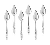 JECOMPRIS Lot de 6 Cuillères en Acier Inoxydable pour Nourrir Les Perruches, Cuillères Robustes Multifonctions Adaptées la Maison Animaleries