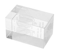 JECOMPRIS Modèle D'anatomie du Poumon Humain en Cristal, Cube, Gravure Interne 3d, Décoration Éducative, pour Étudiants en Médecine et Enseignement Scientifique