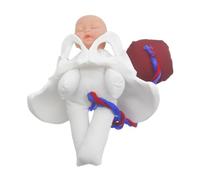 JECOMPRIS Modèle de Bassin d'Accouchement Outil Pédagogique Interactif Fœtus Cordon Ombilical et Placenta Simulation Anatomique pour L'Enseignement en École de Médecine 1 Pièce