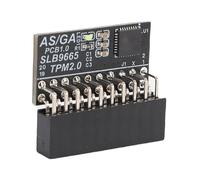 Jectse Module TPM 2.0, Puce de sécurité D'interface LPC 20 Broches pour Le Cryptage, avec Matériau PCB Stable pour Cartes Mères DDR4