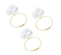 Jectse Porte-clés Transparent de Collection de Poils d'animaux, Capsule Commémorative de Poils de Chien pour Les Amoureux des Animaux de Compagnie, Cadeau pour Les Propriétaires de Chiens, 3 Pièces