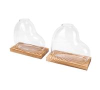 Jectse Vases de Propagation en Forme de Cœur, Jardinière en Verre de Bureau, Vase pour Plantes Hydroponiques, Station de Propagation des Plantes pour Petites Hydroponiques, Décoration de Bureau à