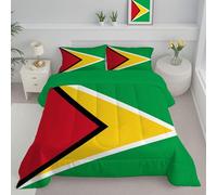JEDTAKCT Couette 4 Saisons 200X200Cm Vert Émeraude, Edredon Drapeau De La Guyane pour Lit 2 Personnes, Couette Réversible sans Housse Lavable Géométrique Élégant, Couverture Quilting Légère 200Gsm
