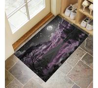 JEDTAKCT Paillasson Violet Gris Pleine Lune Ciel Étoilé Paysage Lacustre Tapis De Porte Résistant Doux À Poil Ras Paillasson Interieur Facile Nettoyer Tapis D'Entrée pour Salon Couloir 60X90Cm