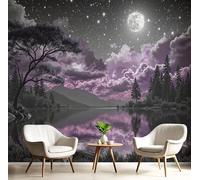 JEDTAKCT Papier Peint Ciel Étoilé Et Nuageux De Rêve, Papier Peint Panoramique 3D Paysage Lacustre 250X175Cm, Papiers Peints Paysage Naturel Noir Et Blanc Décoration Murale Salon Chambre