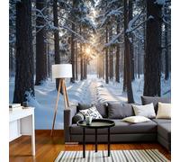 JEDTAKCT Papier Peint Forêt Ensoleillée D'Hiver Paysage Enneigé 450X315Cm Papier Peint Panoramique 3D Grandes Poster Revêtement Mural Photo Noir Et Blanc Pour Salon Chambre Décor Fond Tv