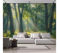 JEDTAKCT Papier Peint Forêt Ensoleillée Prairie Paysage Naturel 300X210Cm Papier Peint Panoramique 3D Grandes Poster Revêtement Mural Photo Vert Émeraude Pour Salon Chambre Décor Fond Tv