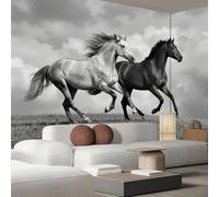 JEDTAKCT Papier Peint Mural Rétro Prairie Cheval, Papier Peint Panoramique Photo Poster 350X256Cm (L X H) - Fresque Murale Tapisserie Photographie Réaliste Noir Et Blanc Pour Salon Chambre D'Enfant