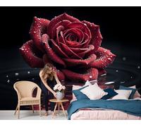 JEDTAKCT Papier Peint Panoramique 3D Reflet Réaliste D'Une Rose Rouge 450X315Cm, Plante Moderne Décoration Murale Salon Salle Enfants, Tapisserie Murales Papier Peint Pour Chambre, Noir