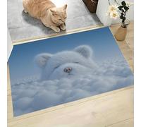 JEDTAKCT Tapis De Bain Antidérapant, Paillasson Moelleux en Microfibre, Tapis De Porte D'Entrée Mignon Ours Nuage 3D Animal De Rêve, Paillasson Absorbant l'eau, Lavable, 45X75Cm, Ours Nuage Bleu