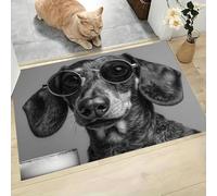 JEDTAKCT Tapis D'Entrée D'Intérieur, Tapis Douce Lavable Antidérapant Lunettes De Soleil Tendance Teckel Noir 50X80Cm, Imprimé Animal Réaliste, Paillasson Fin Absorbant pour Cuisine Entrée Chambre