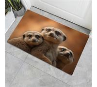 JEDTAKCT Tapis Entree Interieur Paillasson 50X80Cm Animaux Sauvages, Tapis Cuisine Devant Evier Antidérapant Lavable Paillasson Suricate Réaliste pour Entrée Couloir, Cuisine, Brun
