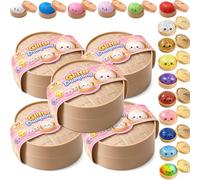 Jeeeun 2026 New Dumpling Squishy Mystery Box | Fun Surprise & Stress Relief for Busy Days Ages, Random Colors (5 Packs)