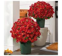 Jeeeun Artificial Mums for Outdoors Fall, 10 Bundles UV Resistant Waterproof Windproof Faux Daisy Plants, Realistic Autumn Fake Flowers for Porch Garden Home Decor (Rose Red)