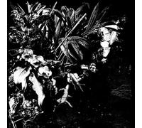 Jef Mertens - Orchid Alto [Vinyl] [Import]