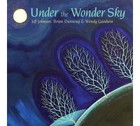 Jeff Johnson - Under The Wonder Sky