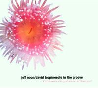 Jeff Noon & David Toop - Needle in The Groove [Import]