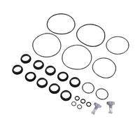 Jeffergarden Kit de Réparation de Joints Toriques de Pompe à Filtre à Sable 25013, Pièces en Caoutchouc Durables pour l'entretien de la Piscine, Comprend des Vannes de Libération d'air et des