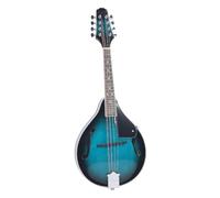 Jeffergarden Kit d'instruments de Mandoline à 8 Cordes, Brillant et Confortable, Apprentissage de Base pour Débutant, Vert Pierre, avec Accordeur, pour Cadeaux de Noël et du Nouvel an, Accessoires