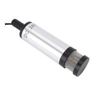 Jeffergarden Pompe Submersible électrique en Acier Inoxydable, Pompe de Transfert avec Aspiration DC et Filtre pour Transfert D' et de Gasoil (Écran de filtre étendu à pince 24 V, argent)