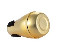 Jeffergarden Sourdine Droite pour Trombone ABS Léger pour Pratiquer Tranquillement n'importe où 13,2 Cm Idéal pour les Amateurs de Trombone (GOLD)