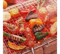 Jeffergarden Tapis de Barbecue en Acier Inoxydable, Grille de Cuisson Robuste, 19,7 X 11,8 Pouces, Filet de Barbecue en Antiadhésive, Antirouille, Grilles Chauffantes Uniformes pour la Cuisson des
