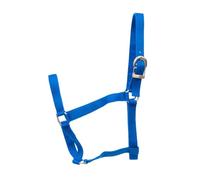 Jeffers Equine Turnout Licol en nylon pour chevaux, sangle en nylon durable à 2 plis, licol réglable avec matériel en métal, licol pour cheval équestre, utilisation d'écurie et de ranch, 2 ans, 272 à
