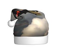 JEJEA Avion de la Seconde Guerre mondiale 2 - Échelle standard - 2 _00x Impression Gorros De Navidad Para Adultos, Chapeaux de Père Noël pour drôles, chapeaux de Noël fantaisie, pour fête de Noël