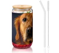JEJEA Golden Retriever1 Tasses en verre avec couvercles en bambou et pailles, tasse à café, tasse en forme de canette, verres, cocktails, transparent