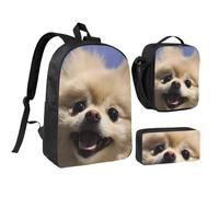 JEJEA Joli sac à dos imprimé Poméranie avec boîte à déjeuner et étui en pécnil, ensemble 3 en 1, cartable, sac à déjeuner, trousse à crayons 43,2 cm pour voyage, Noir , Taille unique